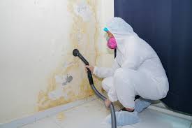 Best HVAC Mold Inspection and Cleaning  in Wayne, WV